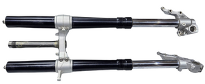 Forcella anteriore bmw f 900 gs