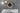 statore generatore honda hornet 900 Stator
