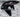 Parafango Anteriore Triumph Street Triple 765 R 2013 2025 T2304671PG