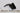 sensore antiribaltamento triumph daytona 675 sensor assy stop