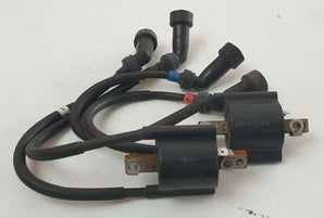 bobine accensione yamaha xjr 1300 sp Zündspule Ignition coil 83R