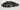 bobine accensione suzuki gsr 600  Zündspule Ignition coil 129700-4150