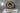 statore generatore suzuki gsx 600/750 r  Generator Stator