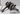 albero motore bmw r 1200 c