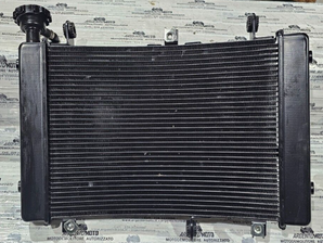 radiatore acqua  QJ MOTOR srt 800 279126060090 radiator