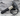 Bobina accensione  ducati desertx 38010221A