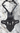 Telaio portatarga ducati desertx 56116451CA